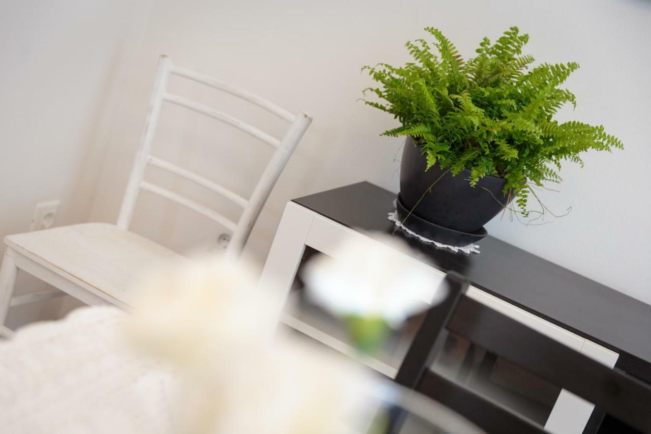 Apartments C52 Rovinj Dış mekan fotoğraf