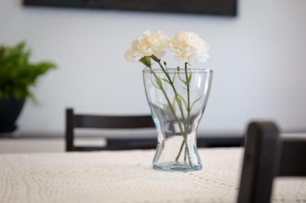 Apartments C52 Rovinj Dış mekan fotoğraf