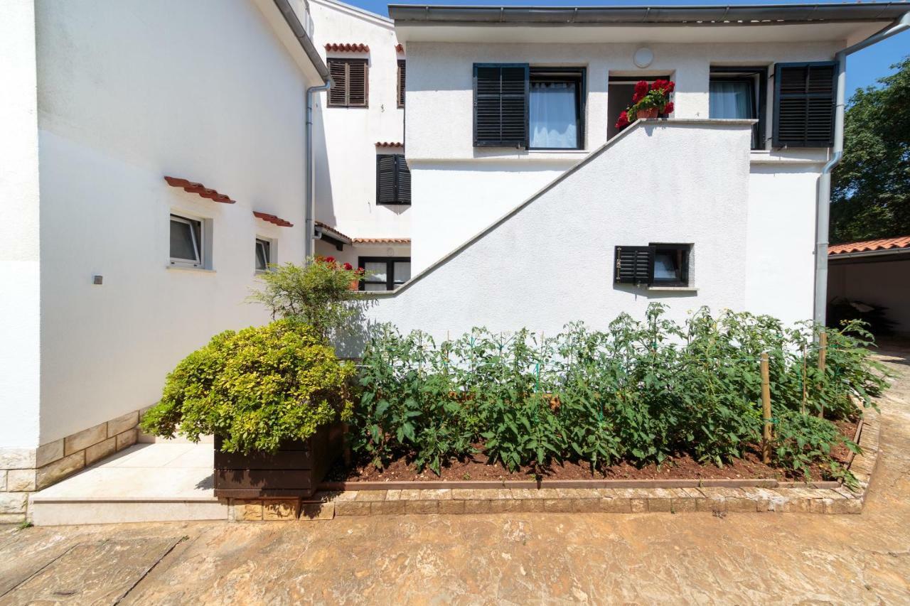 Apartments C52 Rovinj Dış mekan fotoğraf