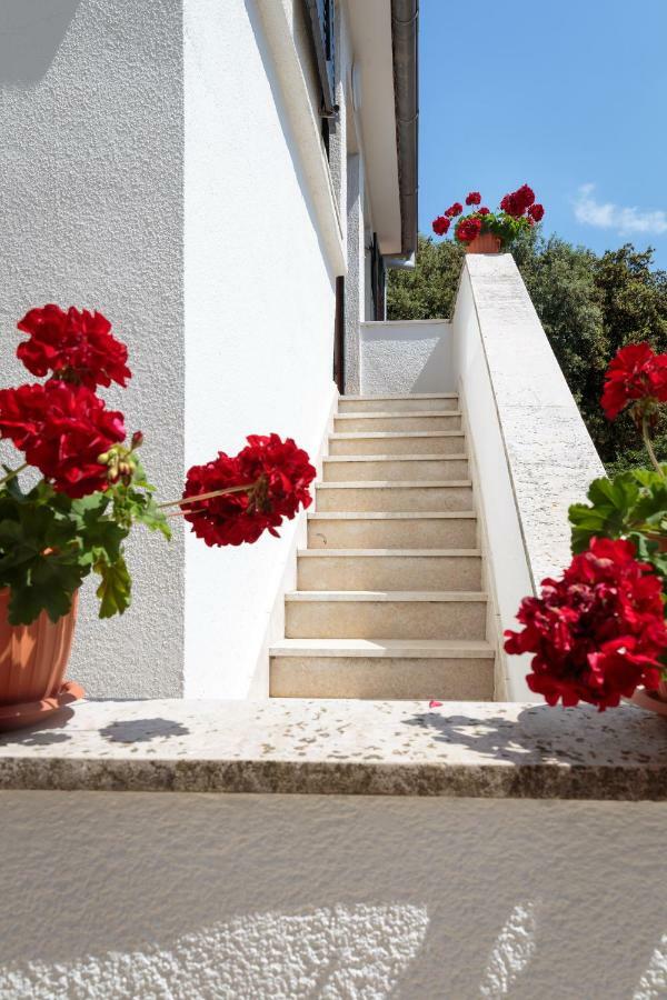 Apartments C52 Rovinj Dış mekan fotoğraf