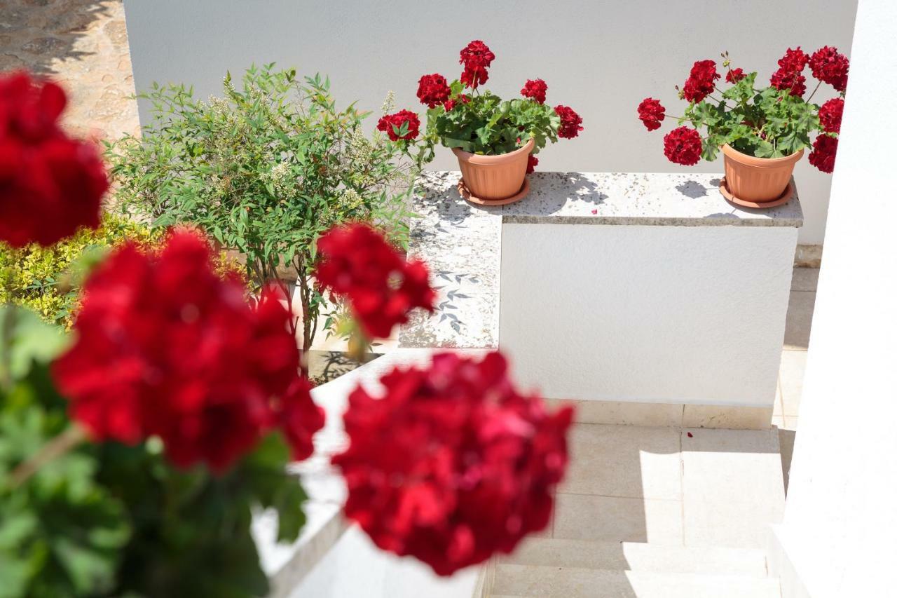 Apartments C52 Rovinj Dış mekan fotoğraf